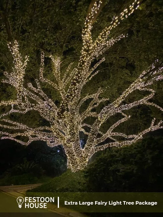 Buy Outdoor Commercial LED Fairy Lights In Adelaide
