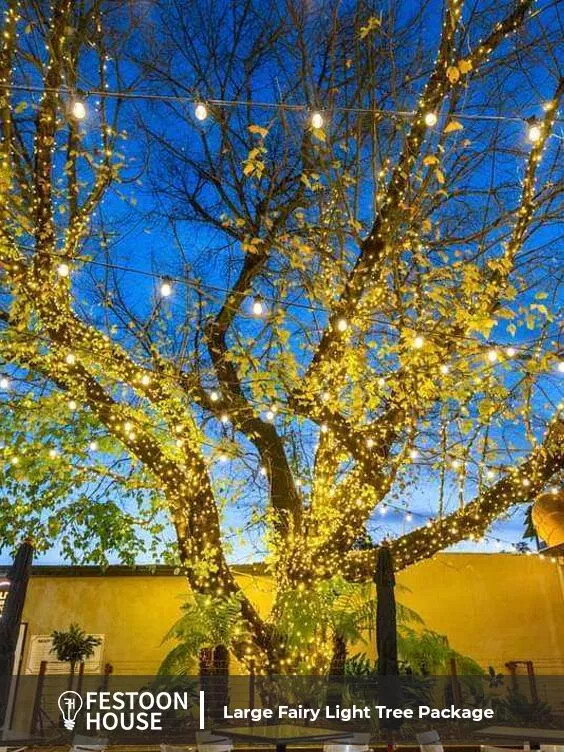 Large outdoor fairy lights cheap